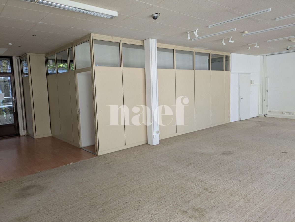 À louer : Surface Commerciale Arcade Petit-Lancy - Ref : 201661.55006 | Naef Immobilier