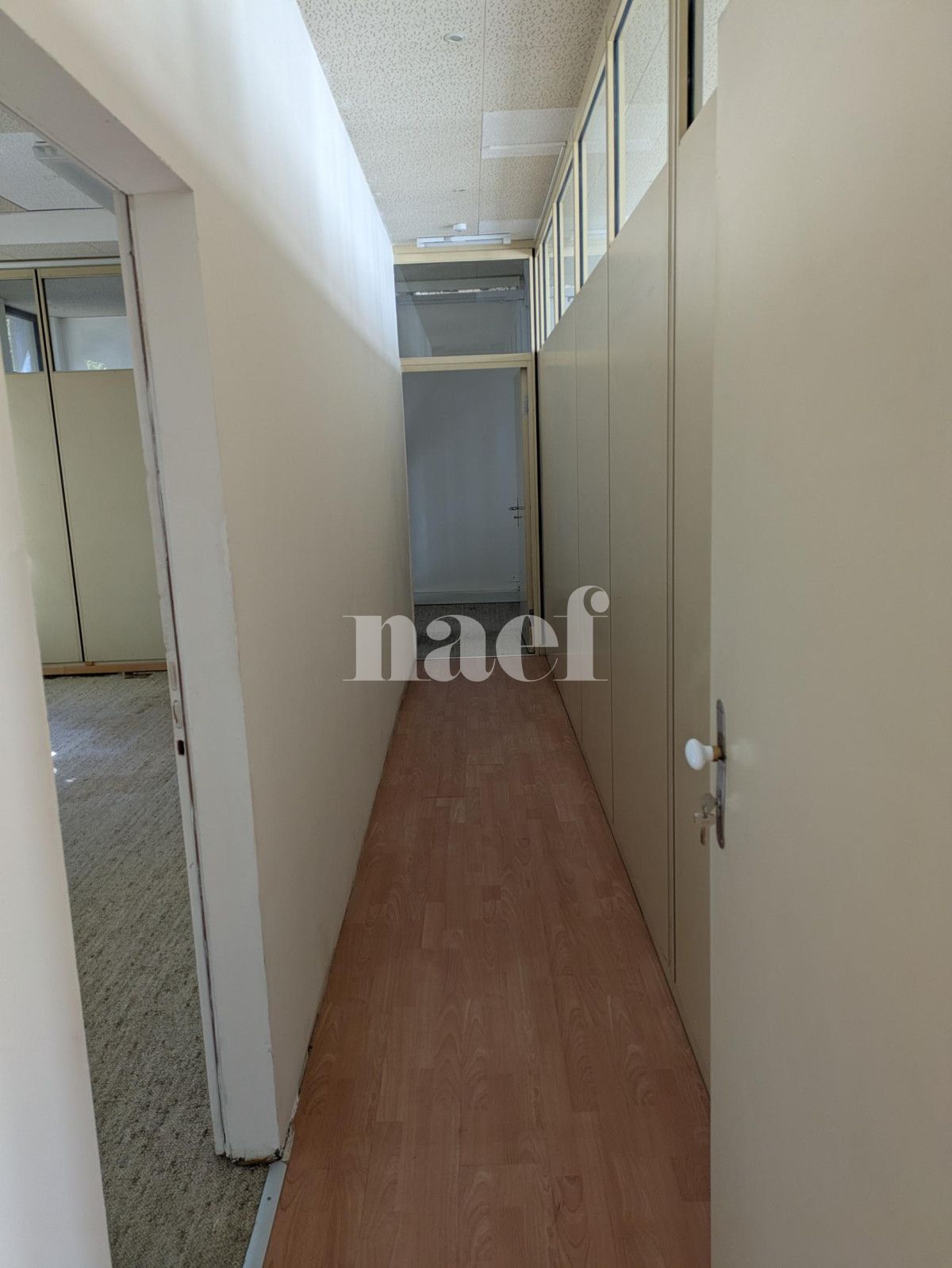 À louer : Surface Commerciale Arcade Petit-Lancy - Ref : 201661.55006 | Naef Immobilier