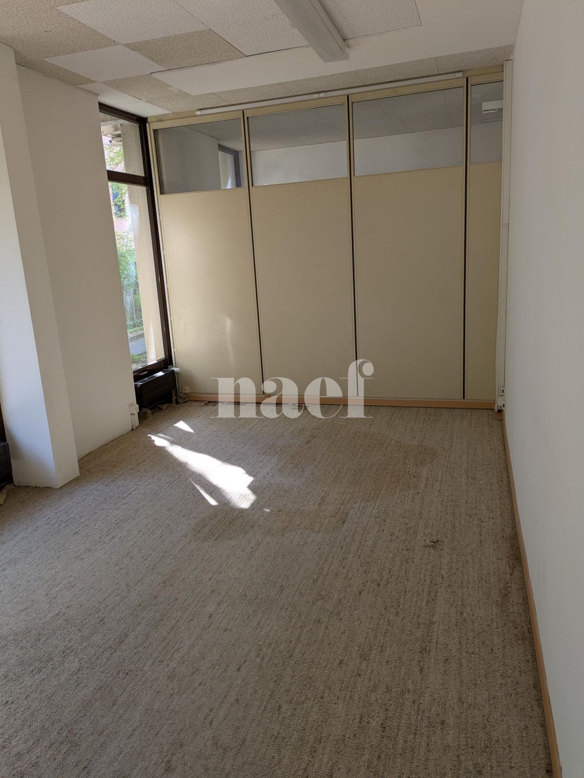 À louer : Surface Commerciale Arcade Petit-Lancy - Ref : 201661.55006 | Naef Immobilier