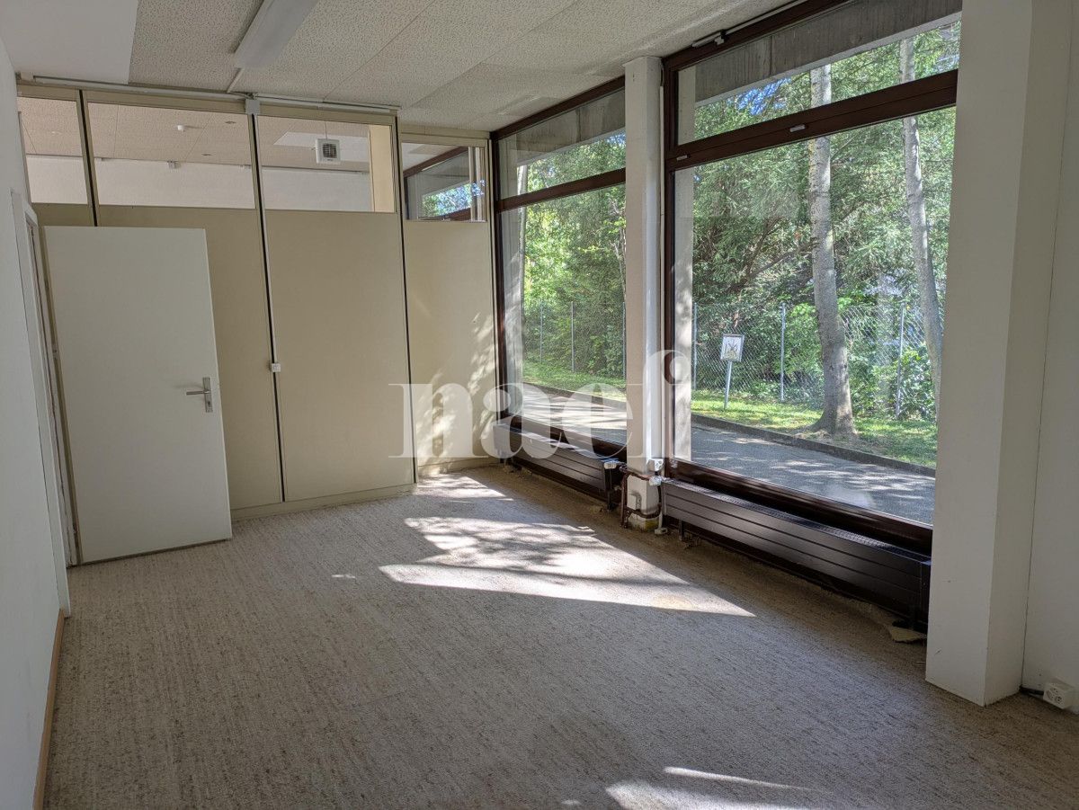 À louer : Surface Commerciale Arcade Petit-Lancy - Ref : 201661.55006 | Naef Immobilier