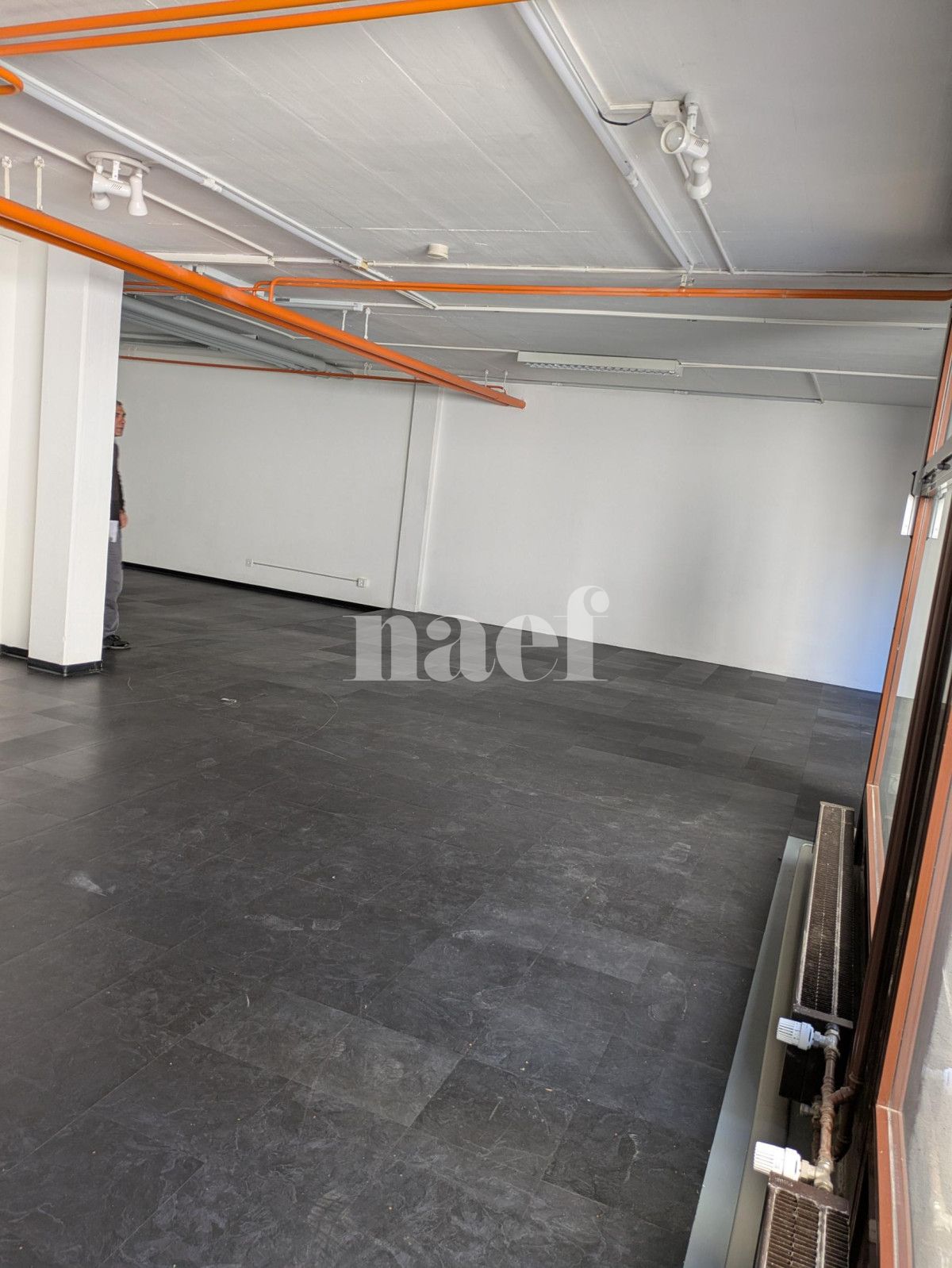 À louer : Surface Commerciale Arcade Petit-Lancy - Ref : 201661.55006 | Naef Immobilier