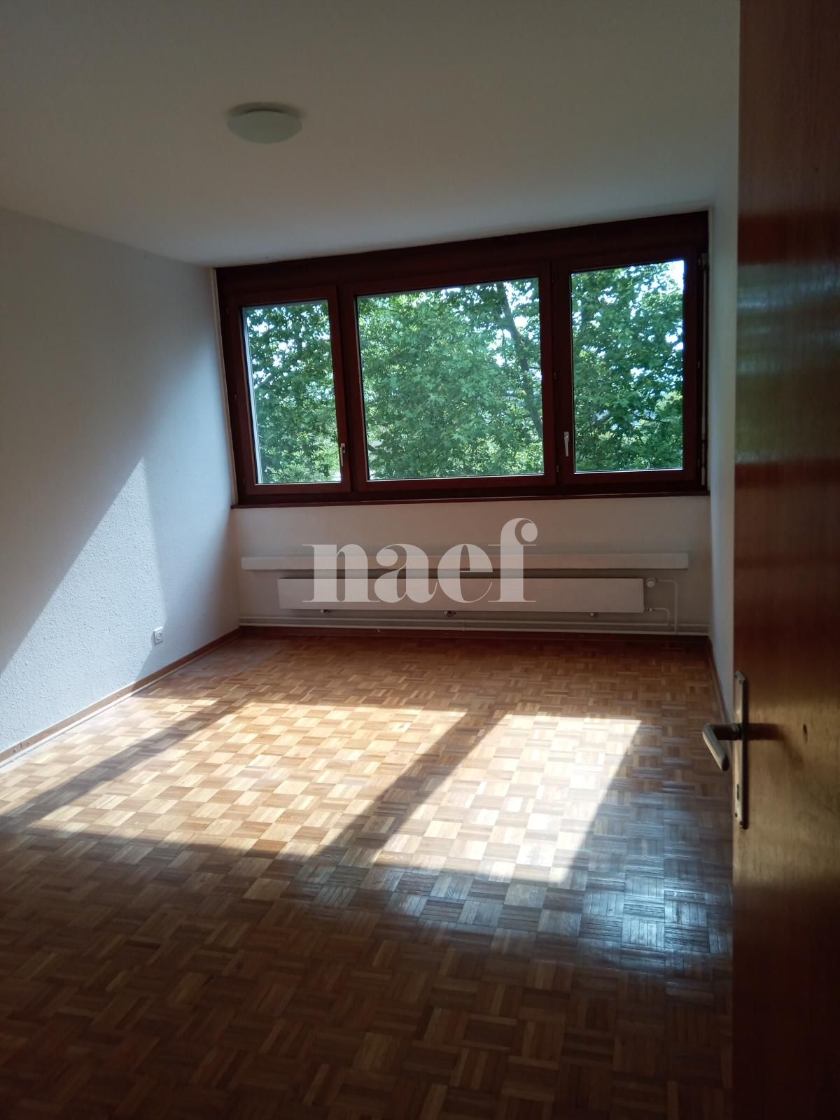 À louer : Appartement 3.5 Pieces Le Lignon - Ref : 201701.3003 | Naef Immobilier