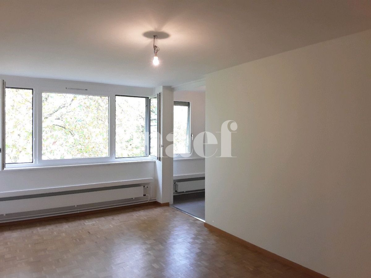 À louer : Appartement 4 Pieces Le Lignon - Ref : 201704.3001 | Naef Immobilier