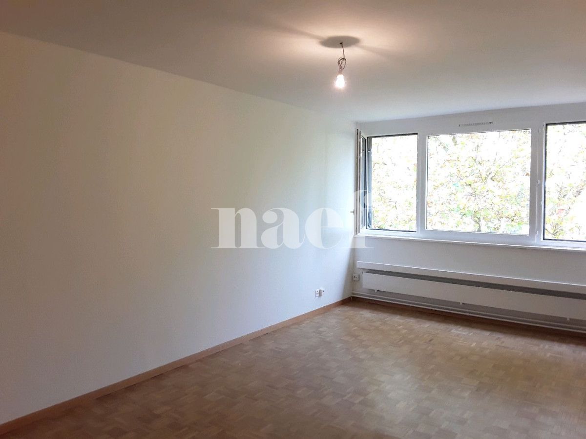 À louer : Appartement 4 Pieces Le Lignon - Ref : 201704.3001 | Naef Immobilier