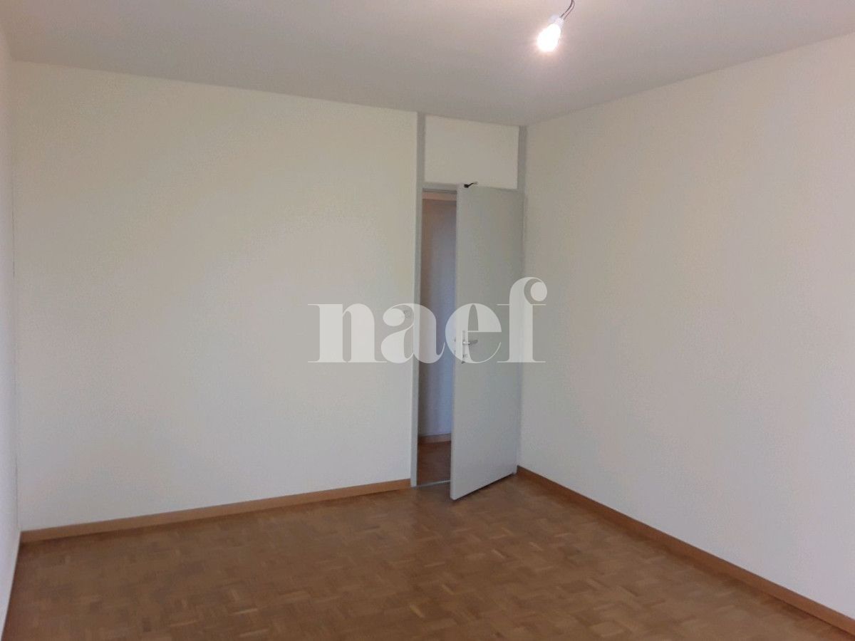 À louer : Appartement 4 Pieces Le Lignon - Ref : 201704.3001 | Naef Immobilier