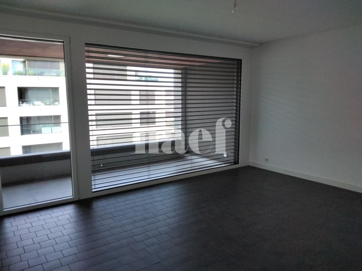 À louer : Appartement 4 Pieces Grand-Lancy - Ref : 201801.4005 | Naef Immobilier