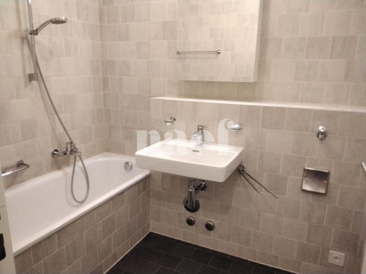 À louer : Appartement 4 Pieces Grand-Lancy - Ref : 201801.4005 | Naef Immobilier