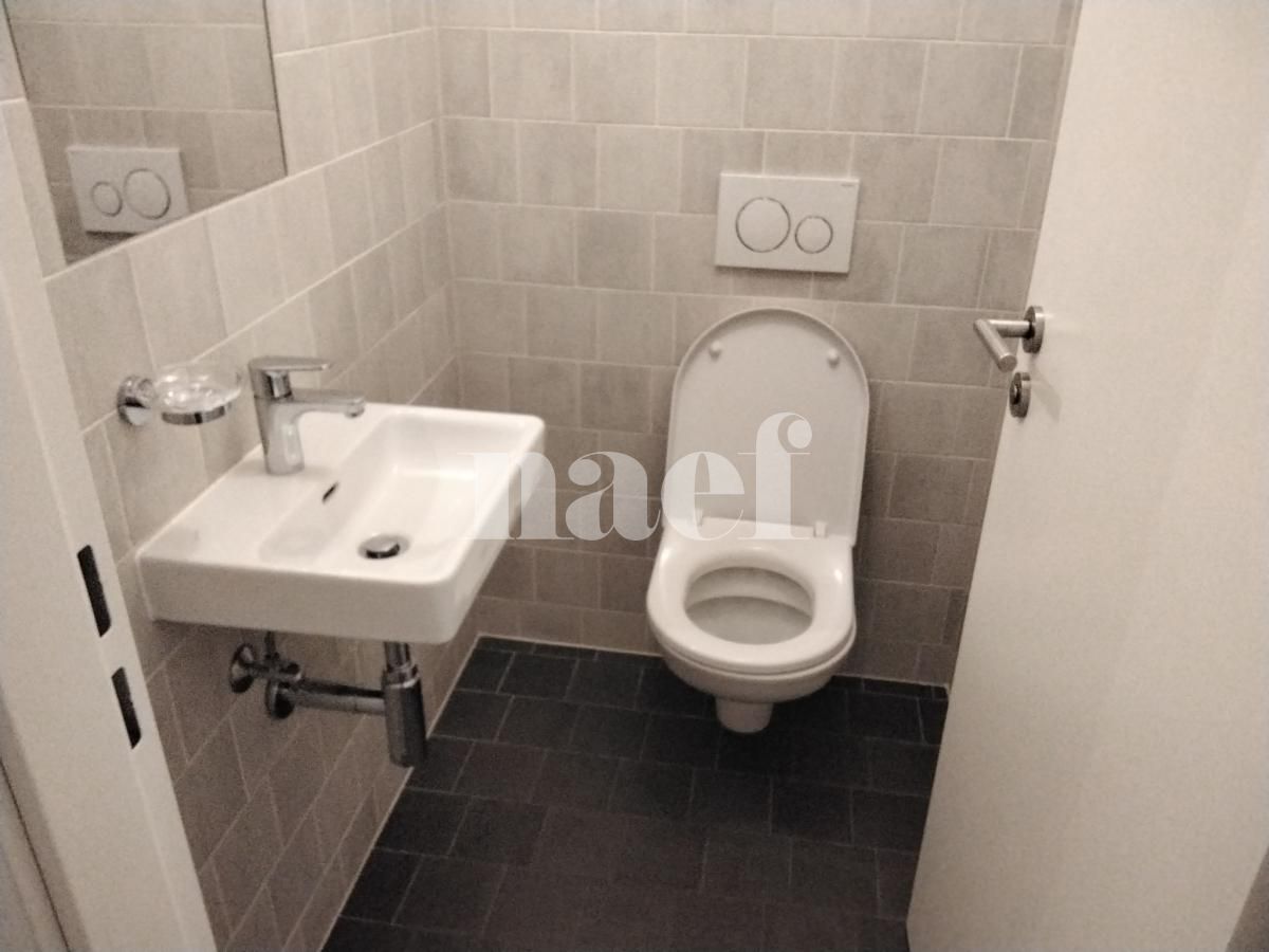 À louer : Appartement 4 Pieces Grand-Lancy - Ref : 201801.4005 | Naef Immobilier