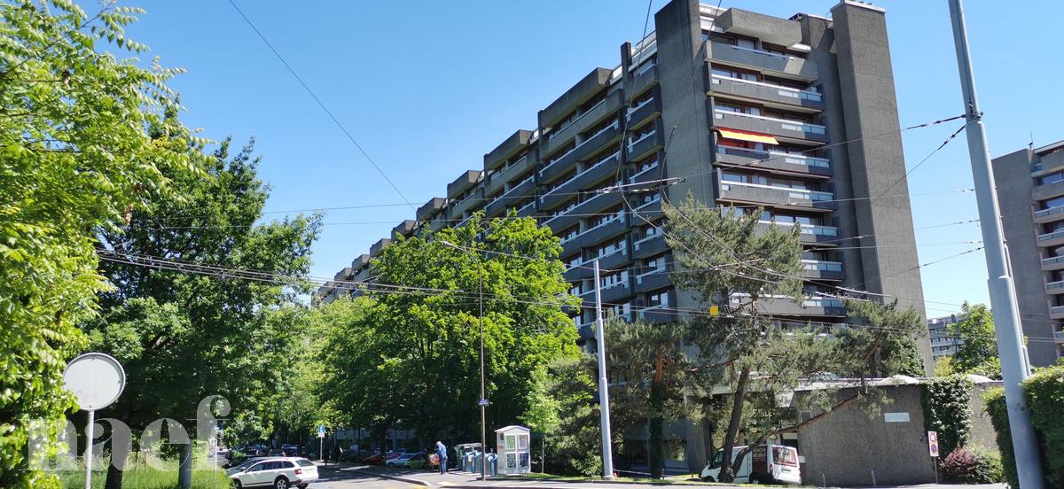 À louer : Appartement 10 Pieces Genève - Ref : 202101.10002 | Naef Immobilier