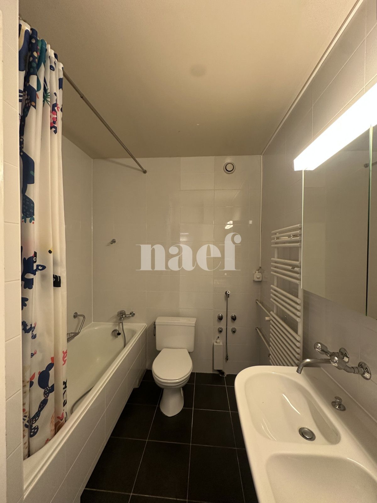 À louer : Appartement 10 Pieces Genève - Ref : 202101.10002 | Naef Immobilier