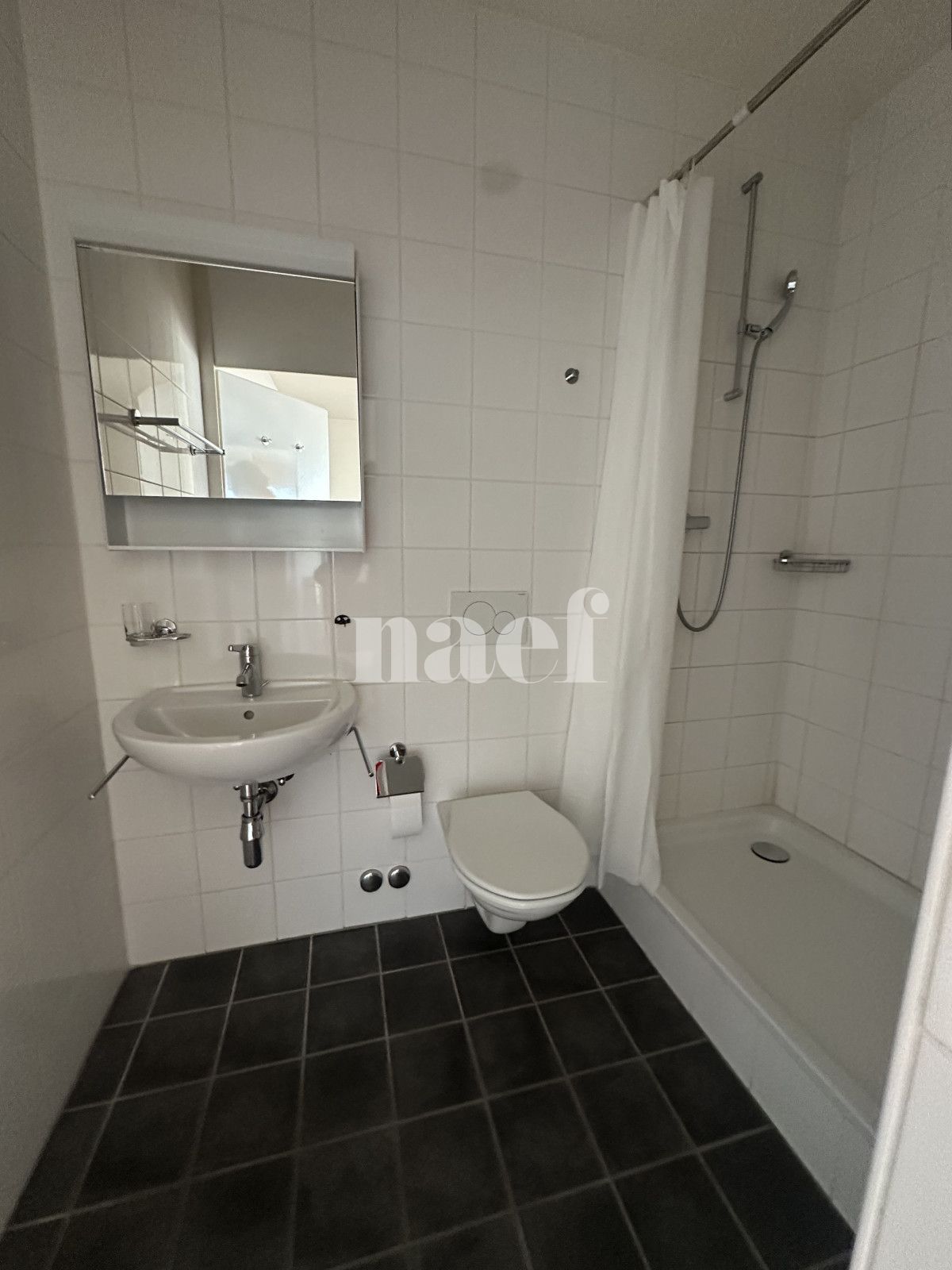 À louer : Appartement 10 Pieces Genève - Ref : 202101.10002 | Naef Immobilier