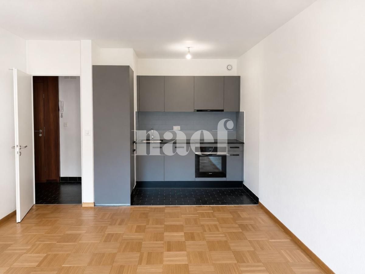 À louer : Appartement 2 Pieces Genève - Ref : 202101.5 | Naef Immobilier