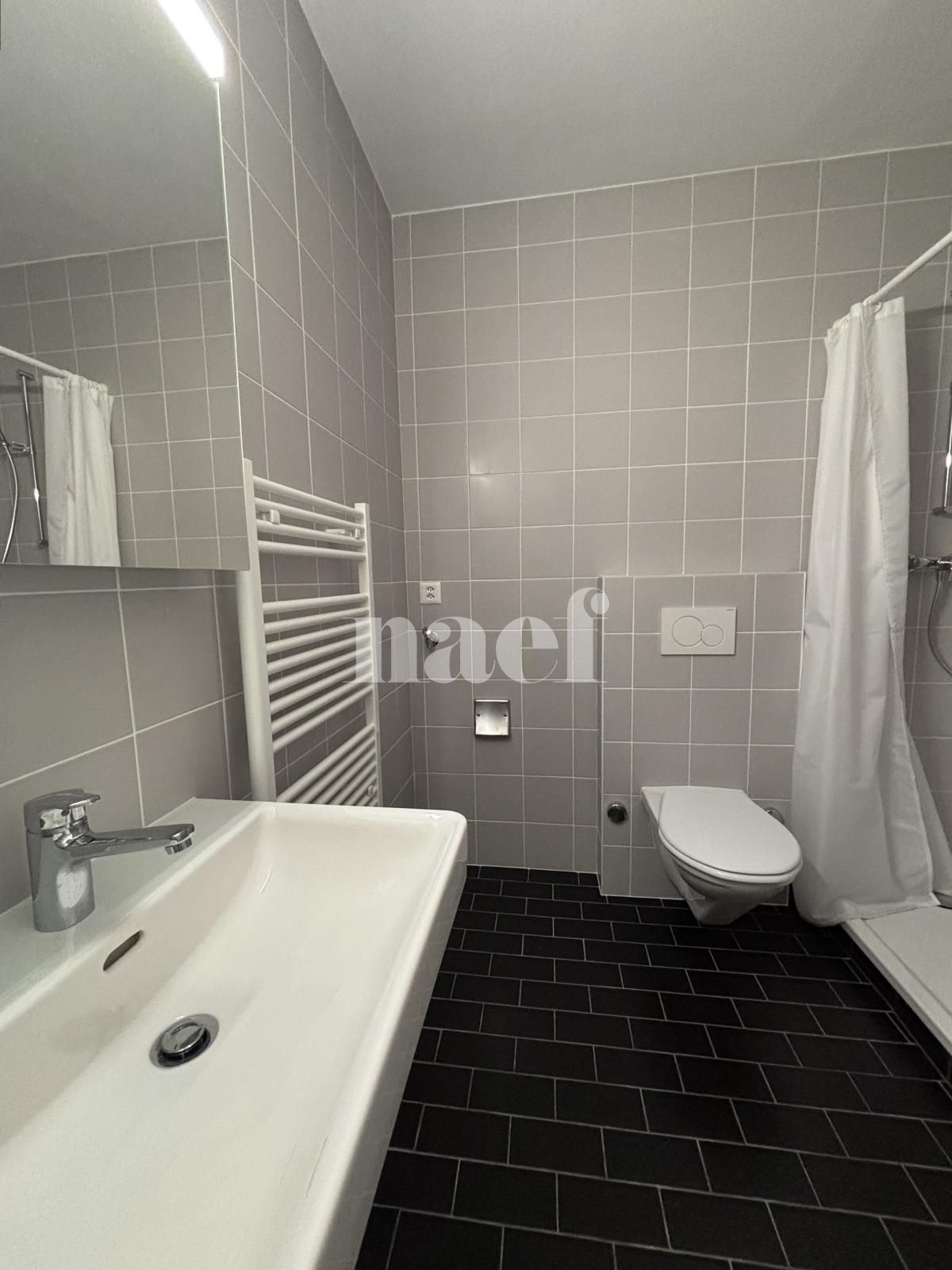 À louer : Appartement 5 Pieces Genève - Ref : 202101.9002 | Naef Immobilier