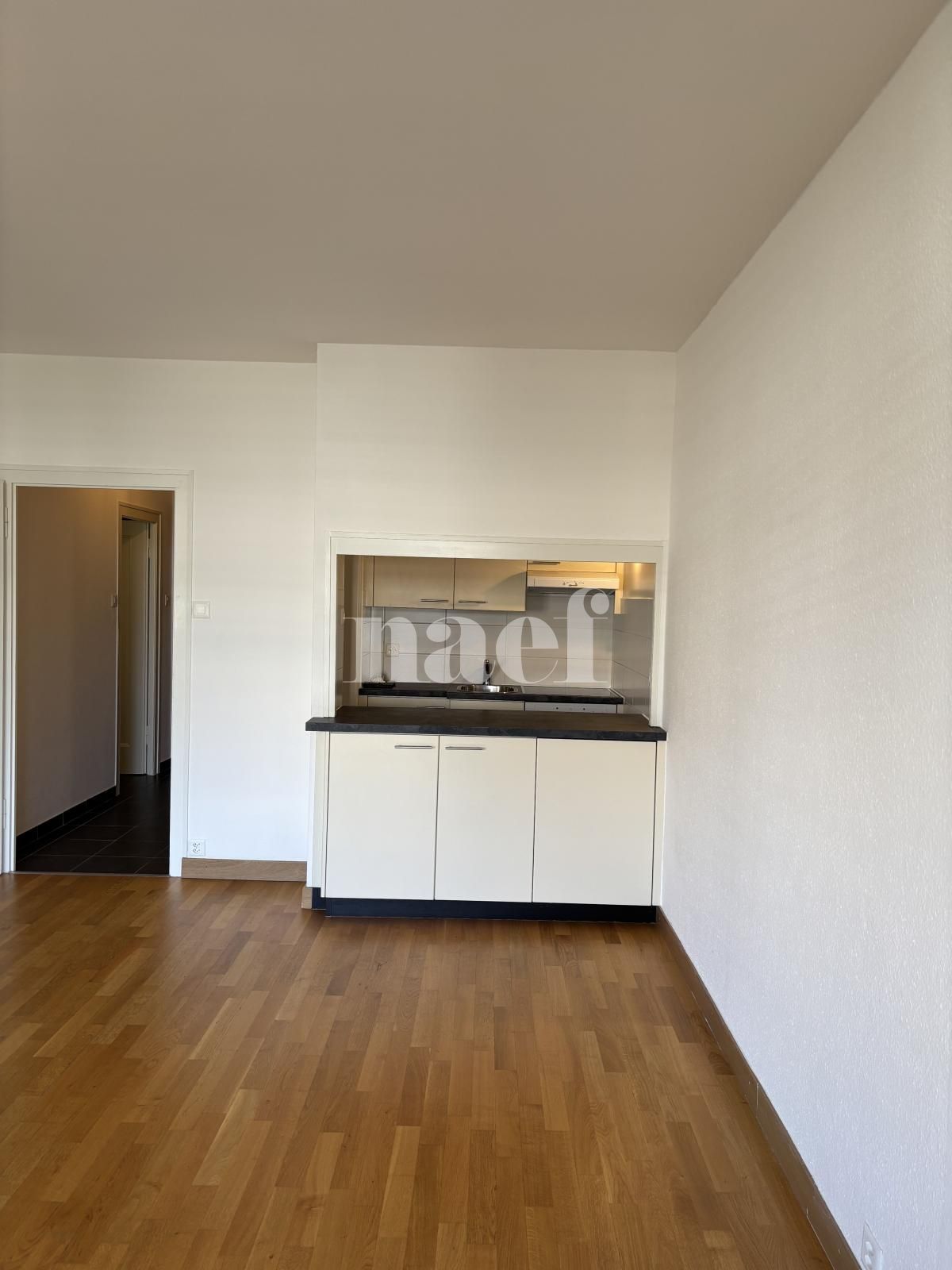 À louer : Appartement 1.5 Pieces Genève - Ref : 202110.3005 | Naef Immobilier