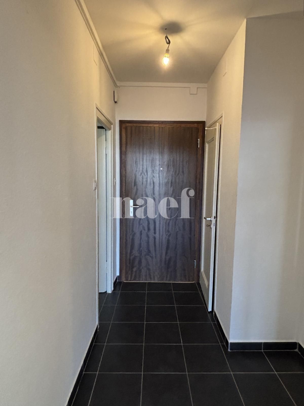 À louer : Appartement 1.5 Pieces Genève - Ref : 202110.3005 | Naef Immobilier