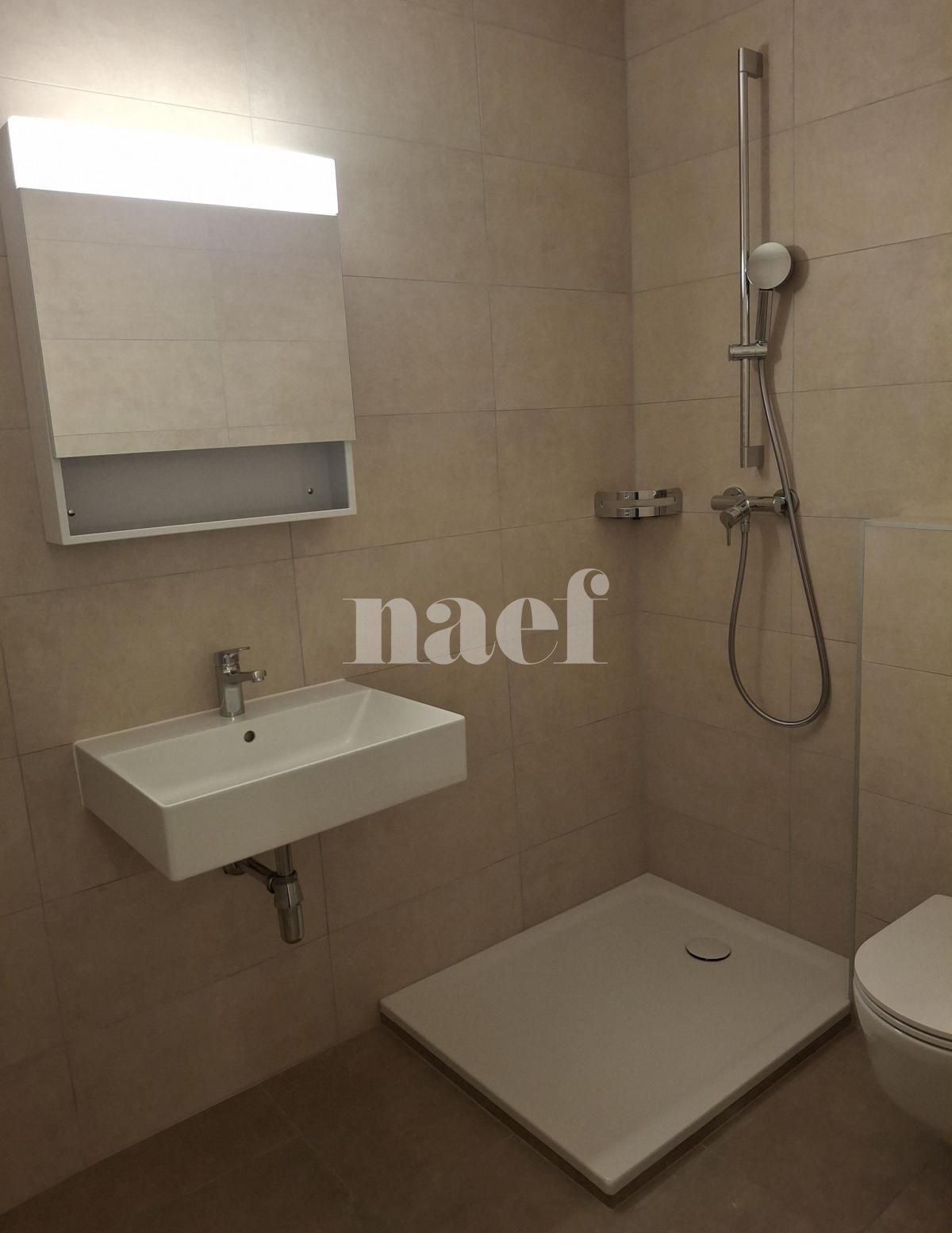 À louer : Appartement 2 Pieces Genève - Ref : 202125.3002 | Naef Immobilier