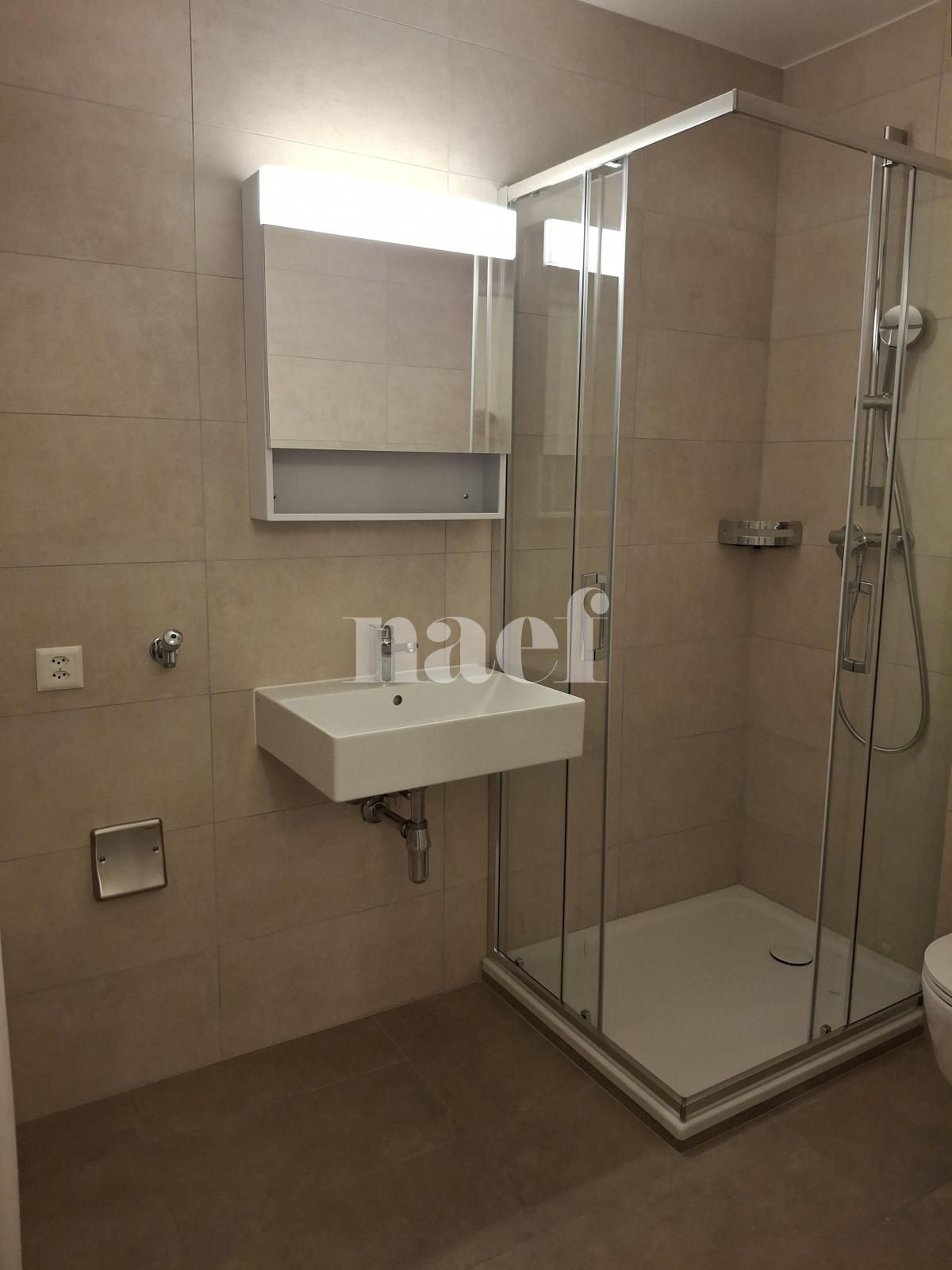 À louer : Appartement 2 Pieces Genève - Ref : 202125.3002 | Naef Immobilier