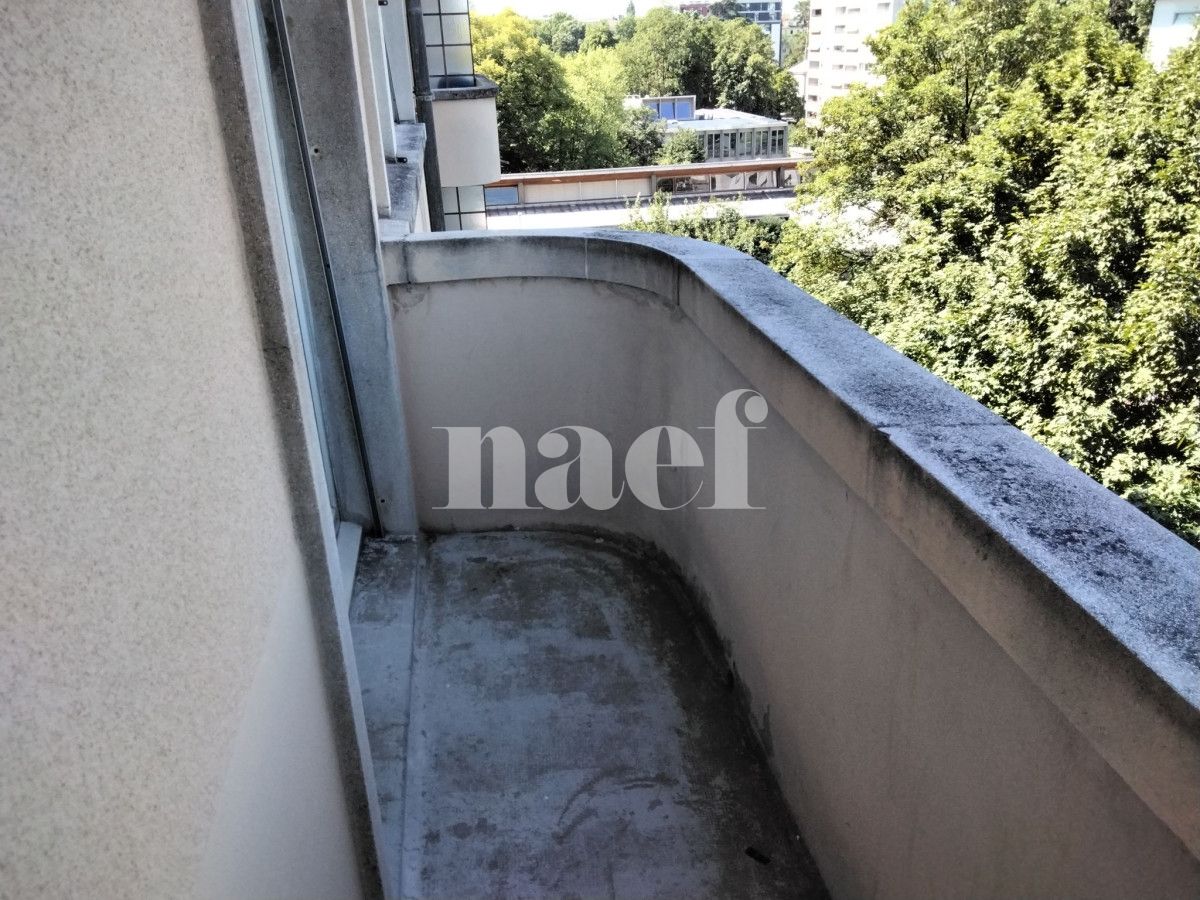 À louer : Appartement 2 Pieces Genève - Ref : 202125.5001 | Naef Immobilier