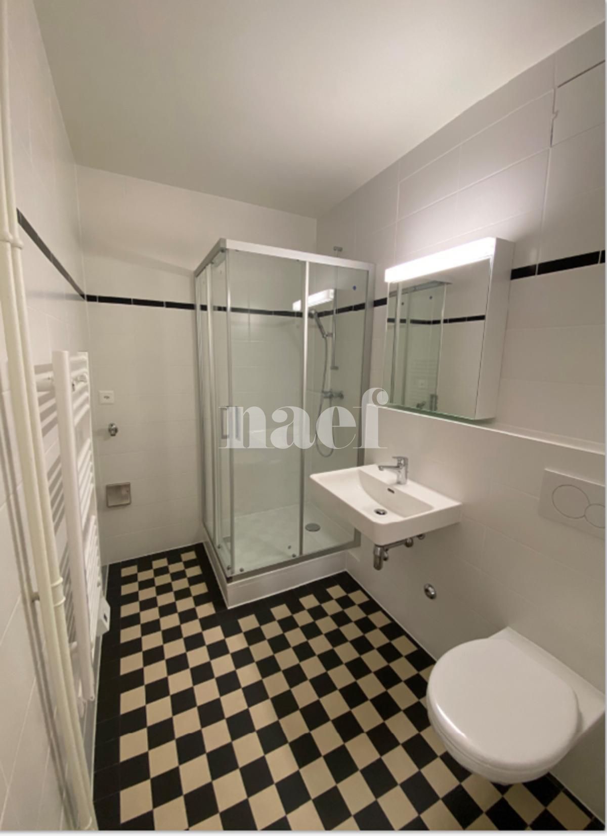À louer : Appartement 2 Pieces Genève - Ref : 202125.5001 | Naef Immobilier