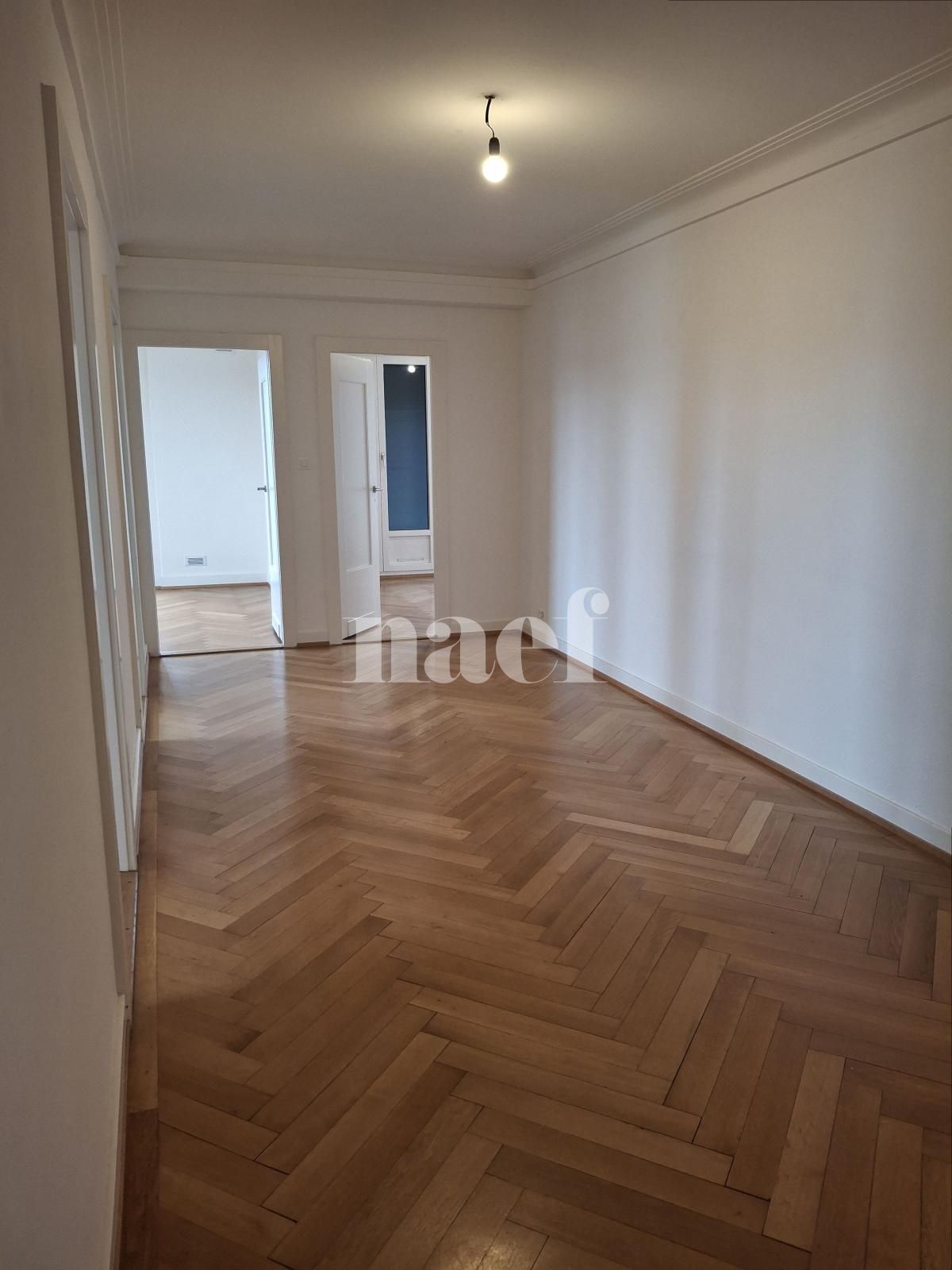 À louer : Appartement 5 Pieces Carouge - Ref : 202126.5003 | Naef Immobilier