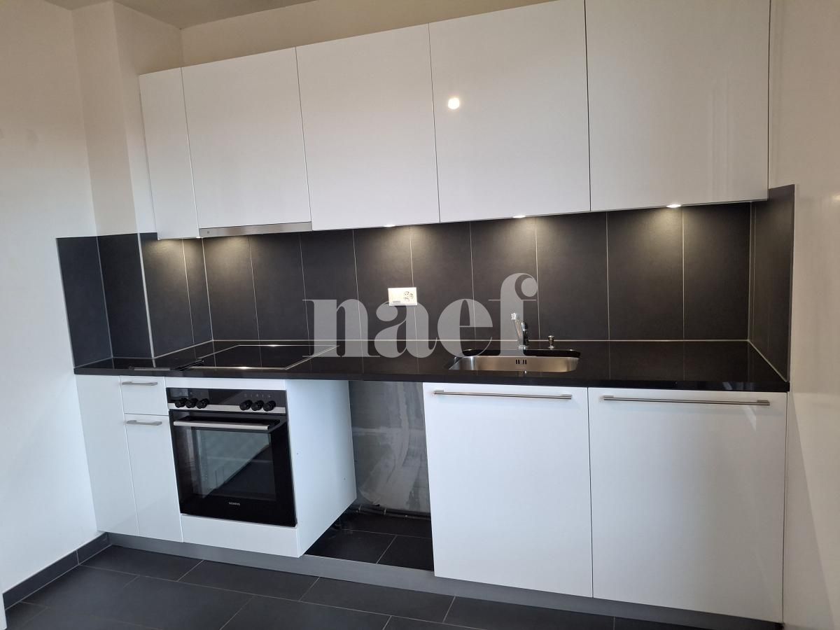 À louer : Appartement 5 Pieces Carouge - Ref : 202126.5003 | Naef Immobilier