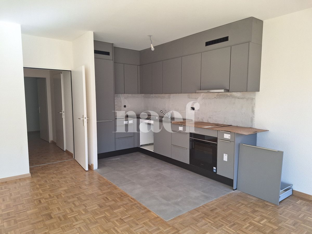 À louer : Appartement 5 Pieces Carouge - Ref : 202127.5001 | Naef Immobilier