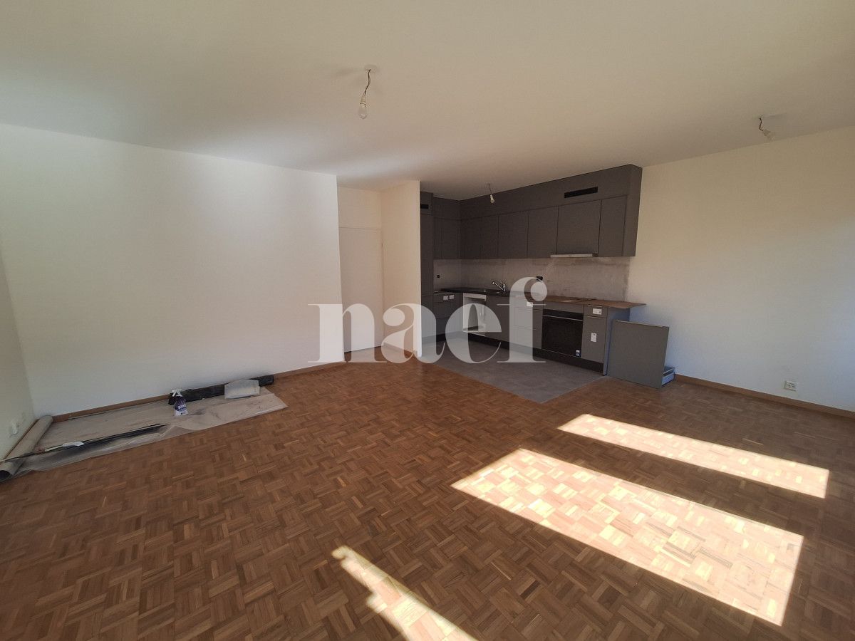 À louer : Appartement 5 Pieces Carouge - Ref : 202127.5001 | Naef Immobilier