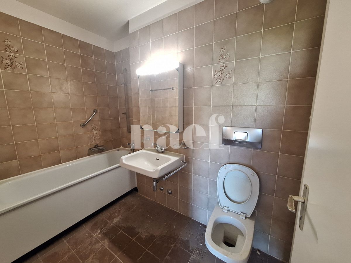 À louer : Appartement 5 Pieces Carouge - Ref : 202127.5001 | Naef Immobilier