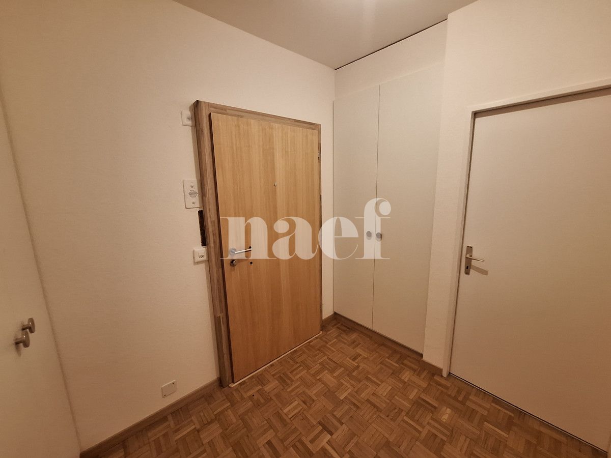À louer : Appartement 5 Pieces Carouge - Ref : 202127.5001 | Naef Immobilier