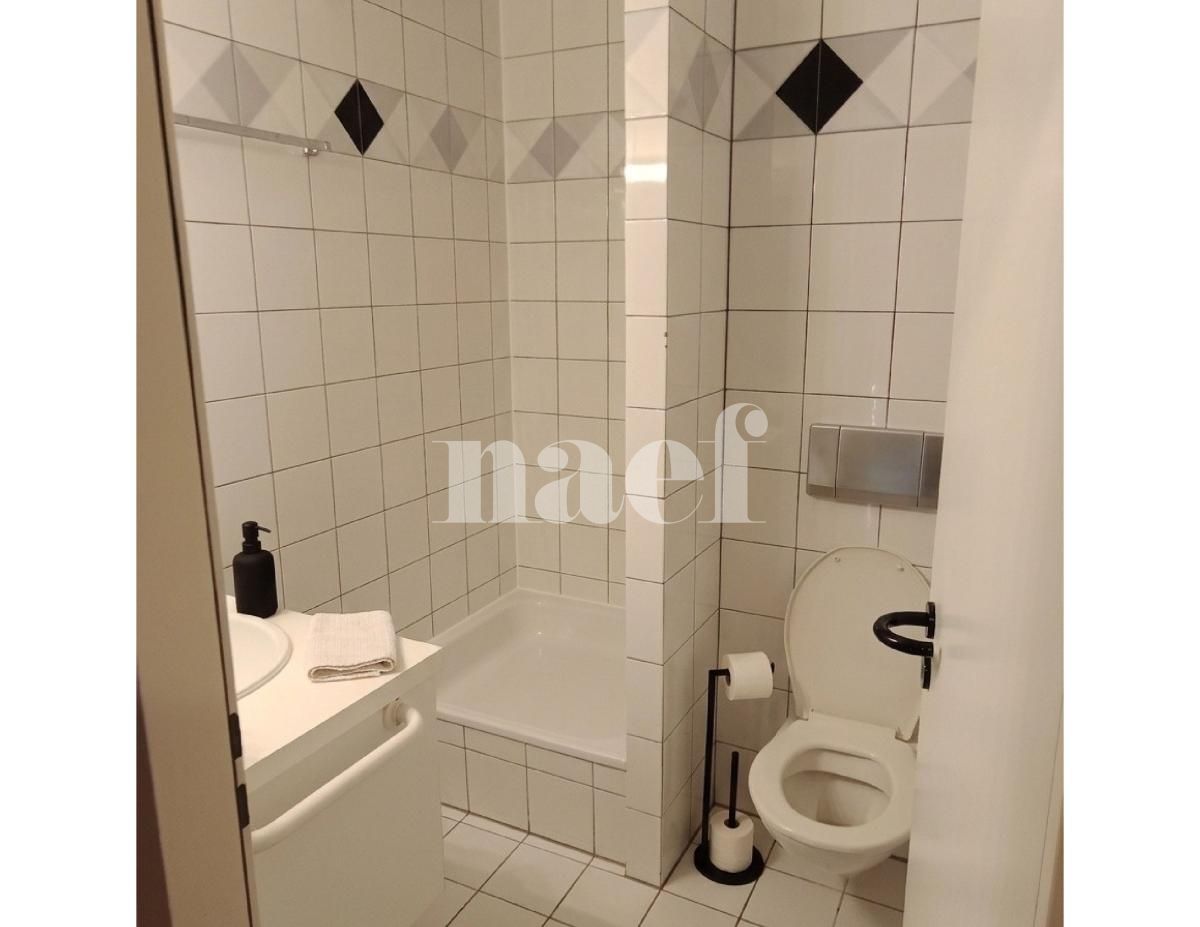 À louer : Appartement 4.5 Pieces Carouge - Ref : 202130.4001 | Naef Immobilier