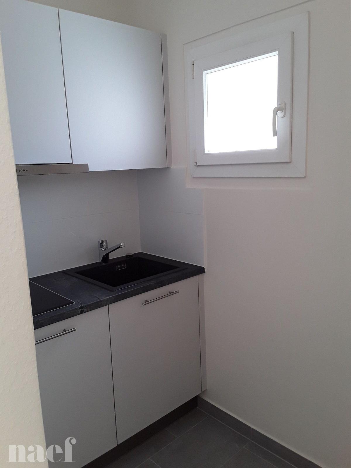 À louer : Appartement 1.5 Pieces Genève - Ref : 202401.1001 | Naef Immobilier