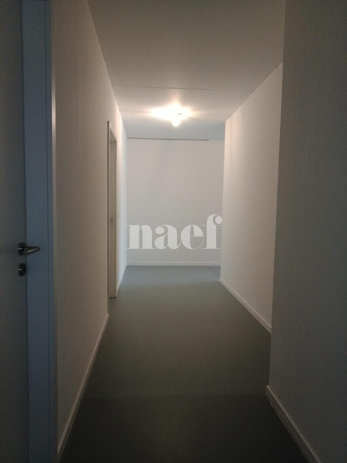 À louer : Appartement 5 Pieces Genève - Ref : 202425.294001 | Naef Immobilier
