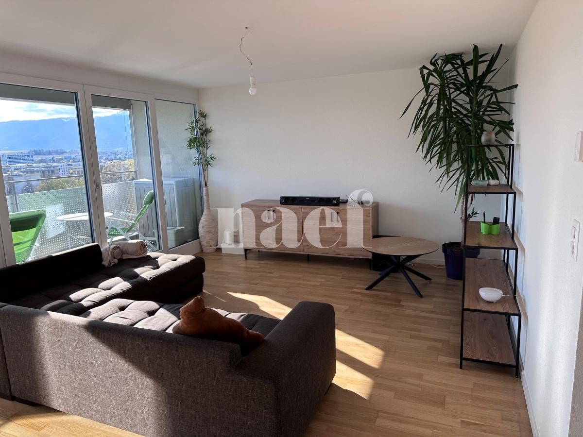 À louer : Appartement 3 Pieces Meyrin - Ref : 204255.107071 | Naef Immobilier