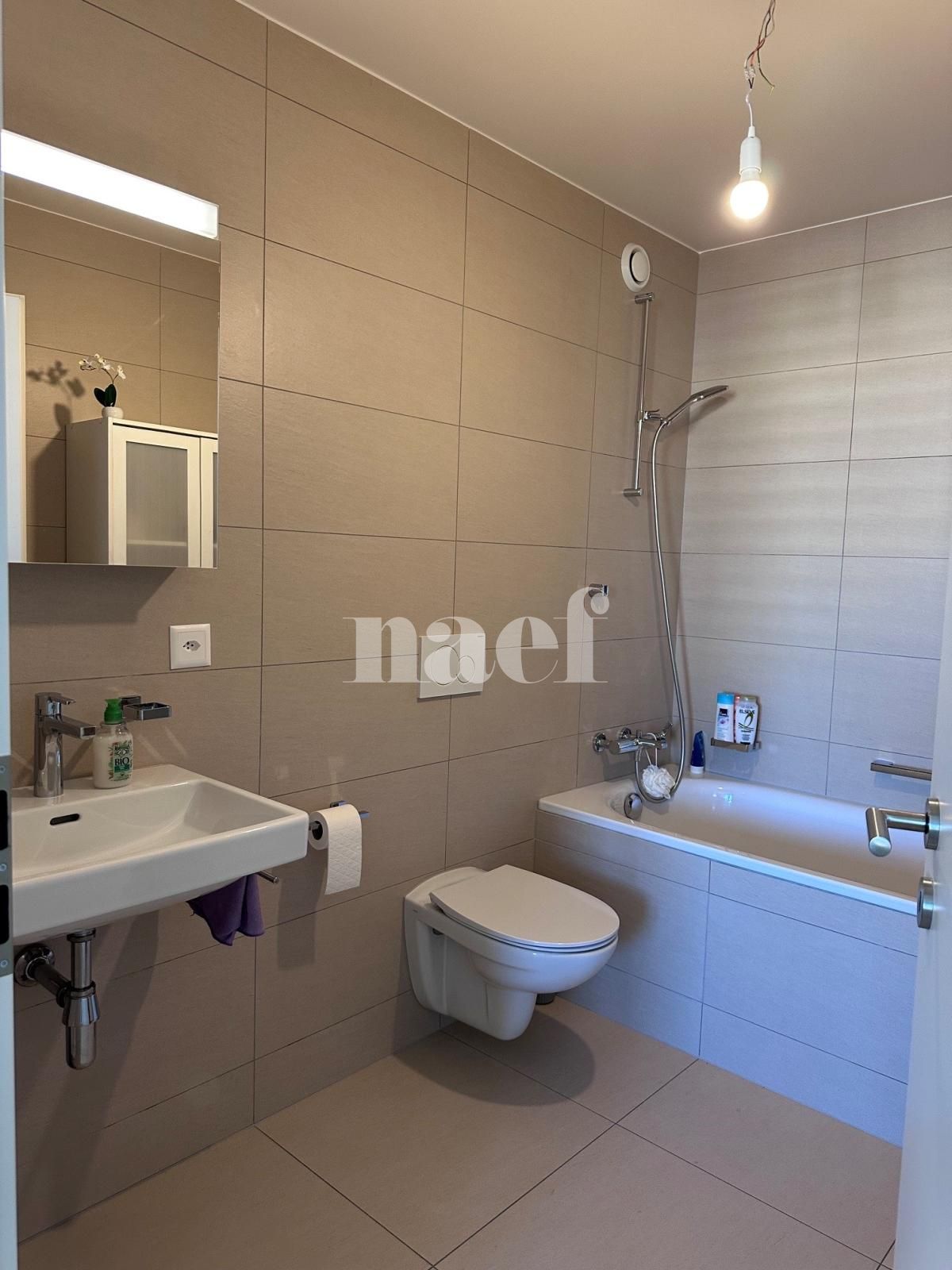 À louer : Appartement 3 Pieces Meyrin - Ref : 204255.107071 | Naef Immobilier
