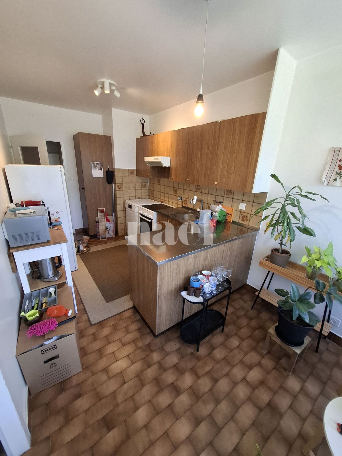 À louer : Appartement 3 Pieces Chêne-Bourg - Ref : 204256.1 | Naef Immobilier
