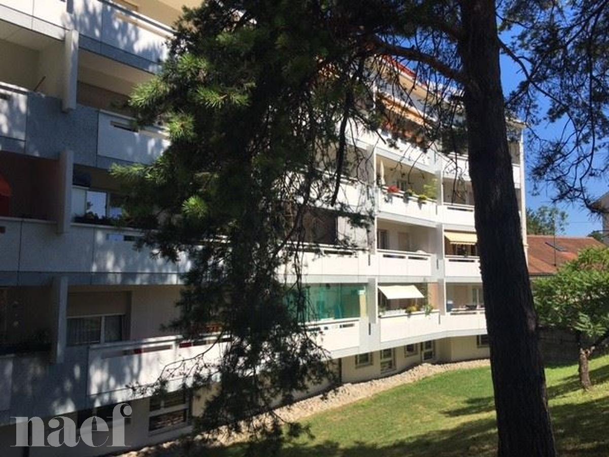 À louer : Parking couvert Grand-Lancy - Ref : 204293.61003 | Naef Immobilier