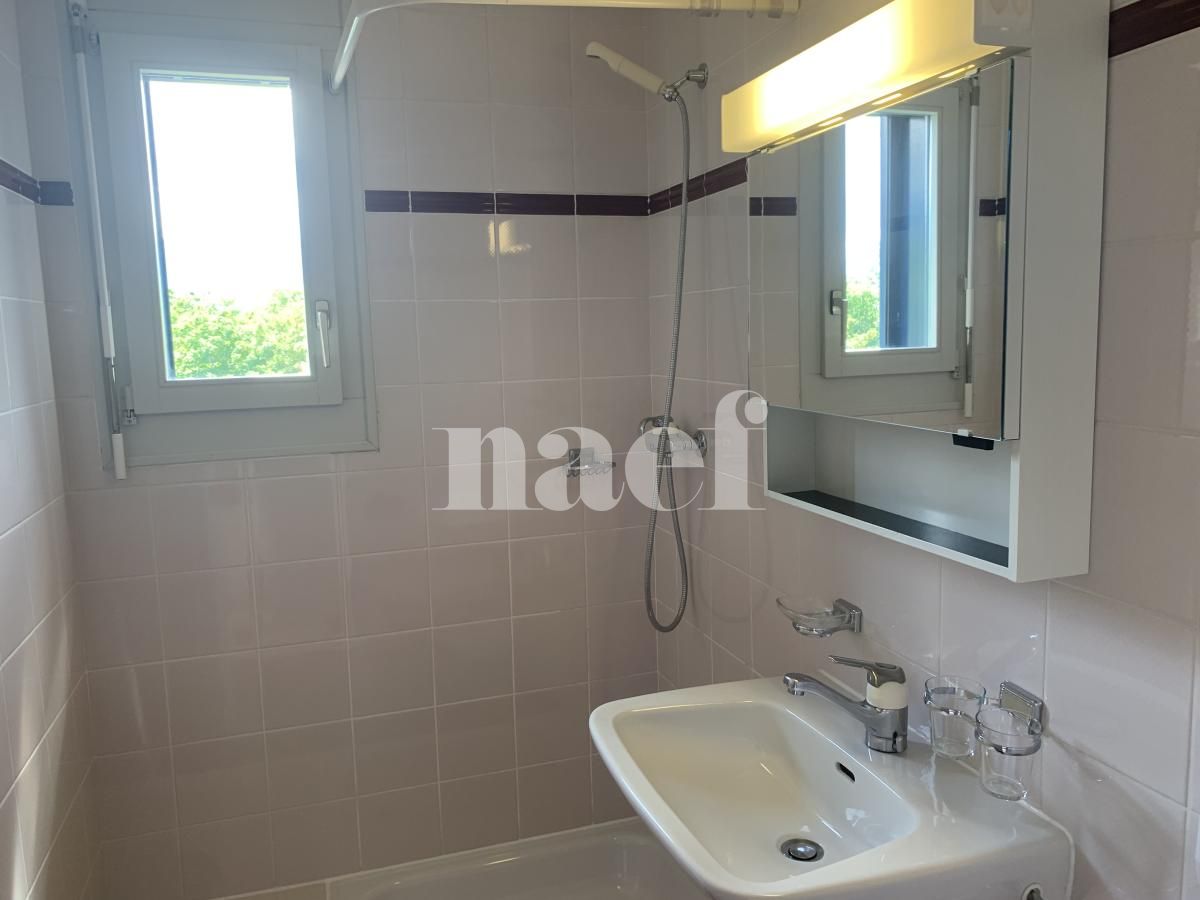 À louer : Appartement 5.5 Pieces Nyon - Ref : 205532.4041 | Naef Immobilier