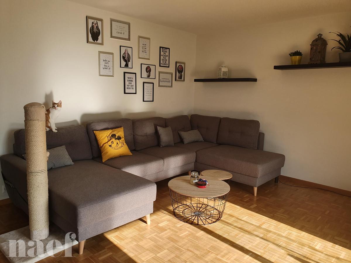 À louer : Appartement 2.5 Pieces Neuchâtel - Ref : 205544.1011 | Naef Immobilier