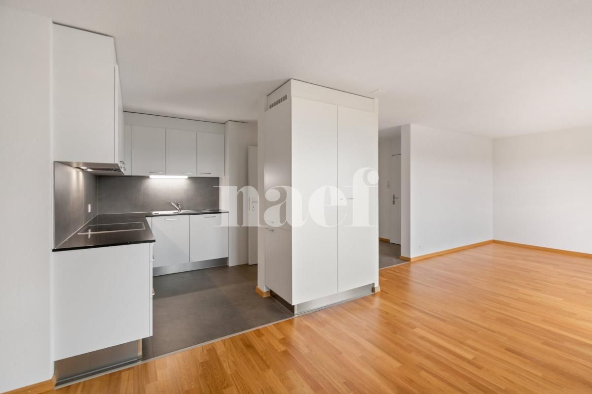 À louer : Appartement 4.5 Pieces Neuchâtel - Ref : 205544.4041 | Naef Immobilier
