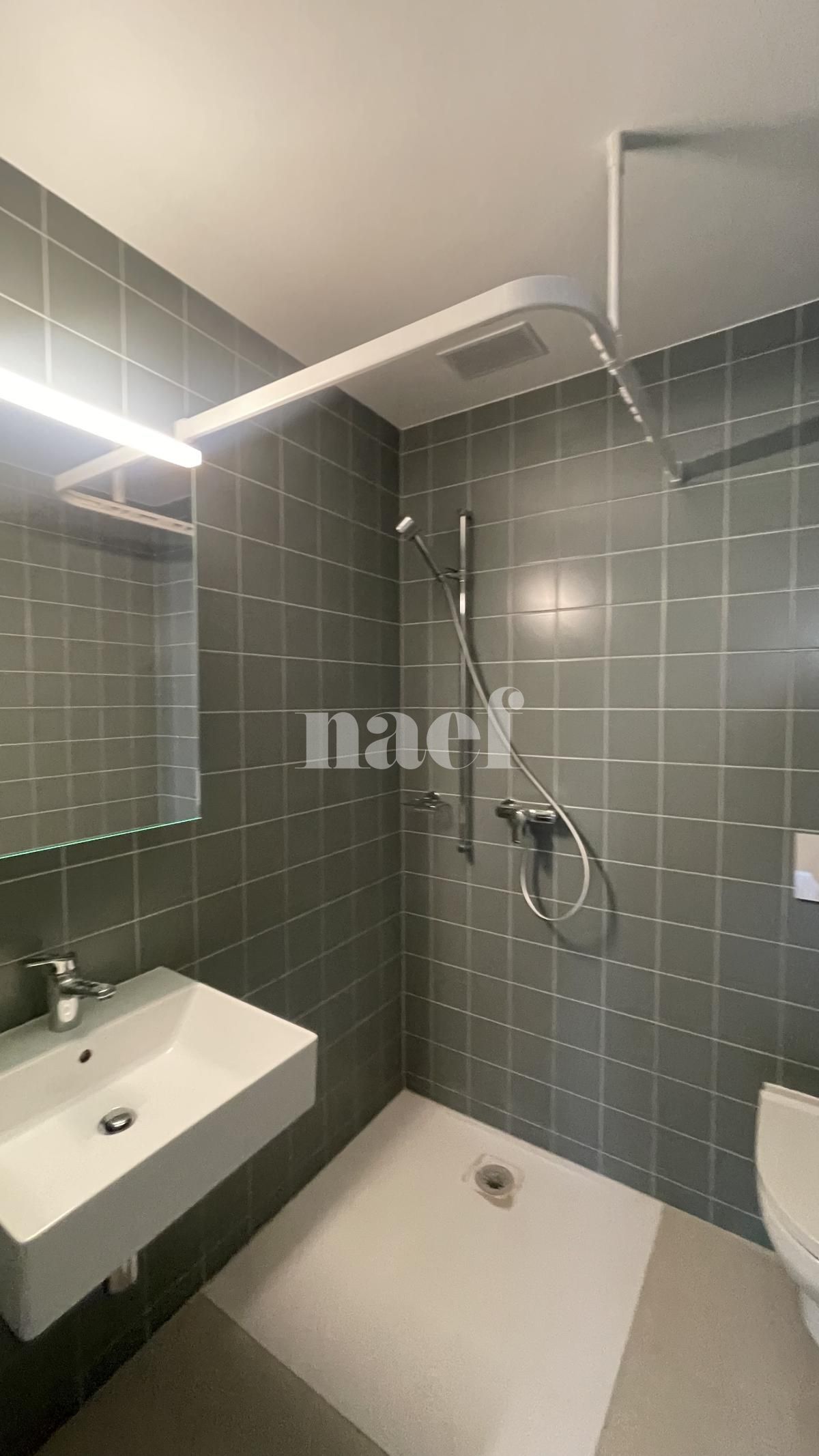 À louer : Appartement 1.5 Pieces Fleurier - Ref : 205556.1 | Naef Immobilier