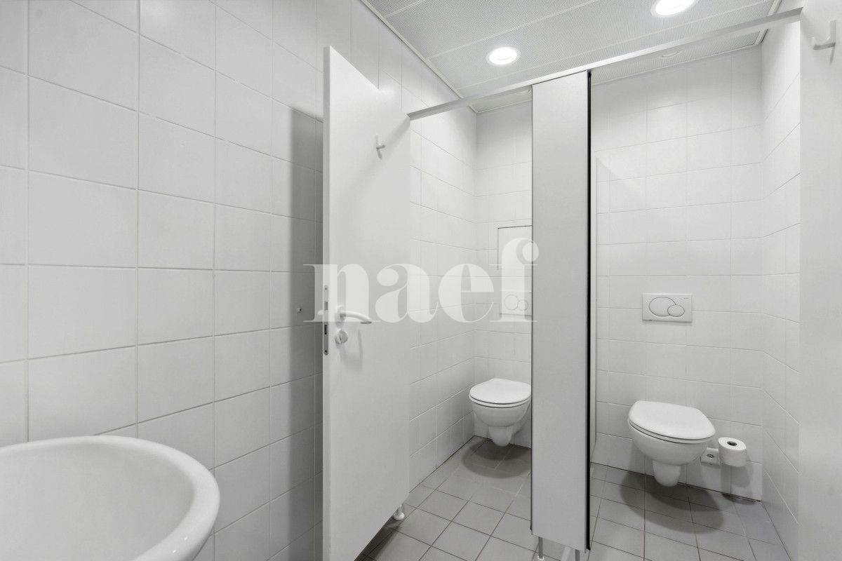 À louer : Surface Commerciale Bureau Nyon - Ref : 205619.1001 | Naef Immobilier