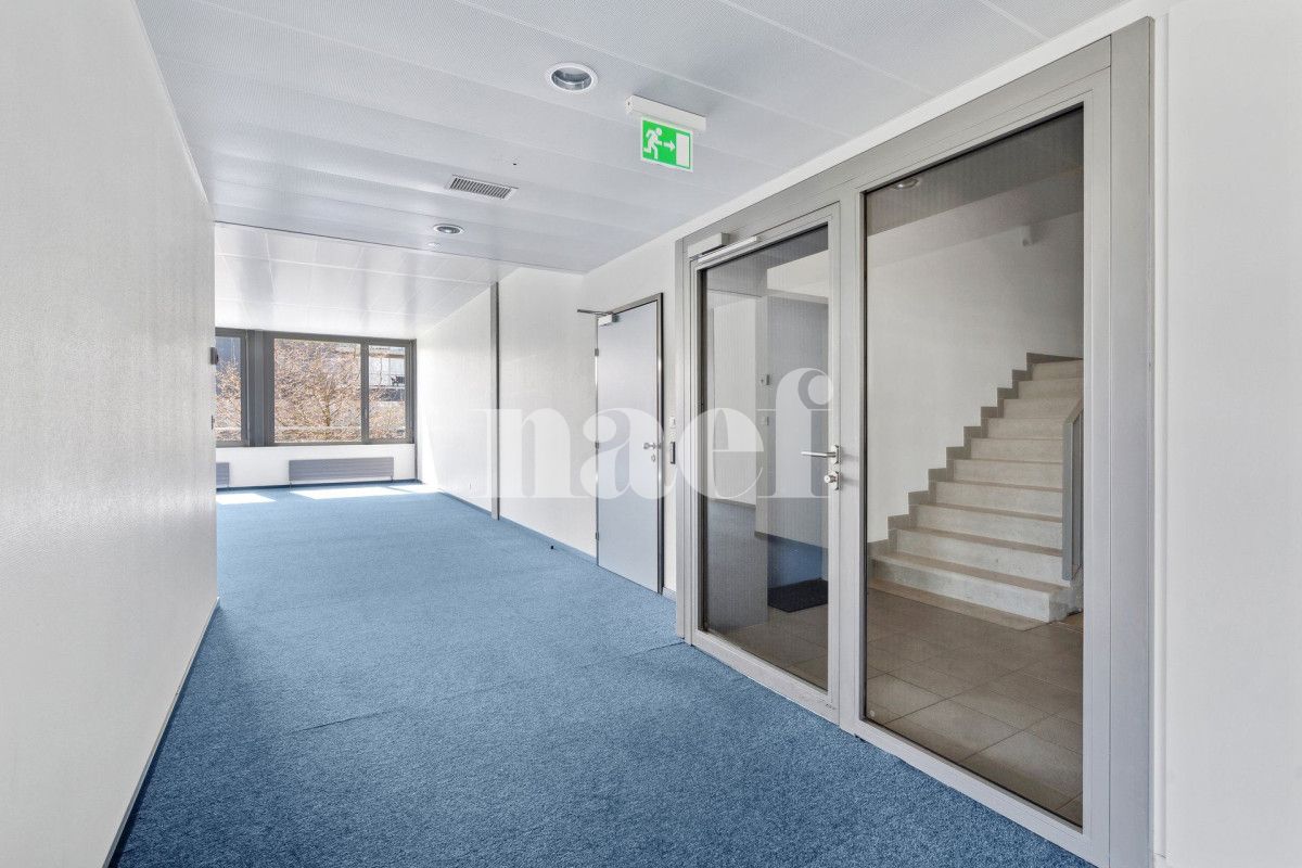 À louer : Surface Commerciale Bureau Nyon - Ref : 205619.1001 | Naef Immobilier