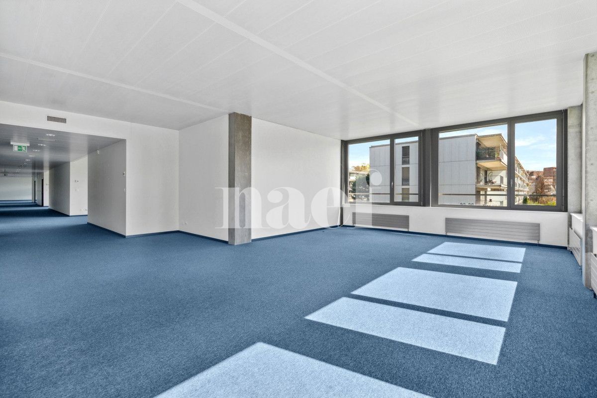 À louer : Surface Commerciale Bureau Nyon - Ref : 205619.1001 | Naef Immobilier