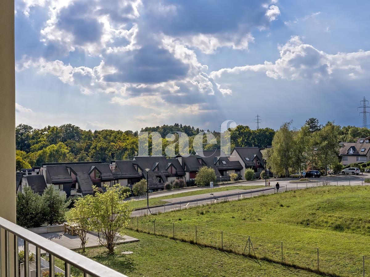 À louer : Appartement 5.5 Pieces Nyon - Ref : 205684.3033 | Naef Immobilier