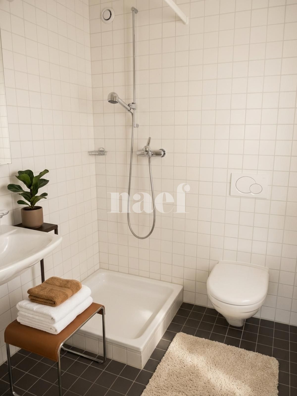 À louer : Appartement 4.5 Pieces Nyon - Ref : 205685.3032 | Naef Immobilier