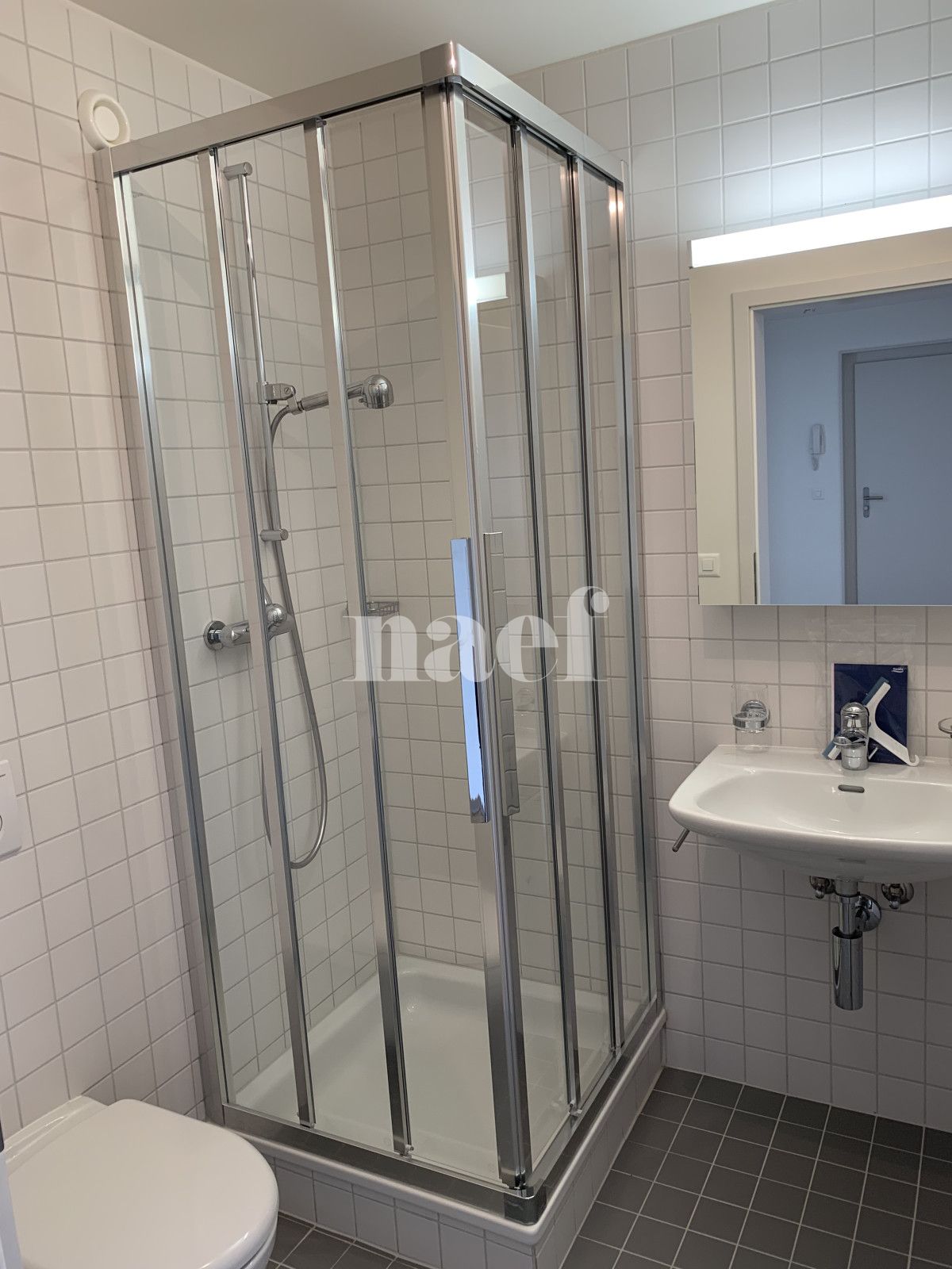 À louer : Appartement 4.5 Pieces Nyon - Ref : 205686.4042 | Naef Immobilier