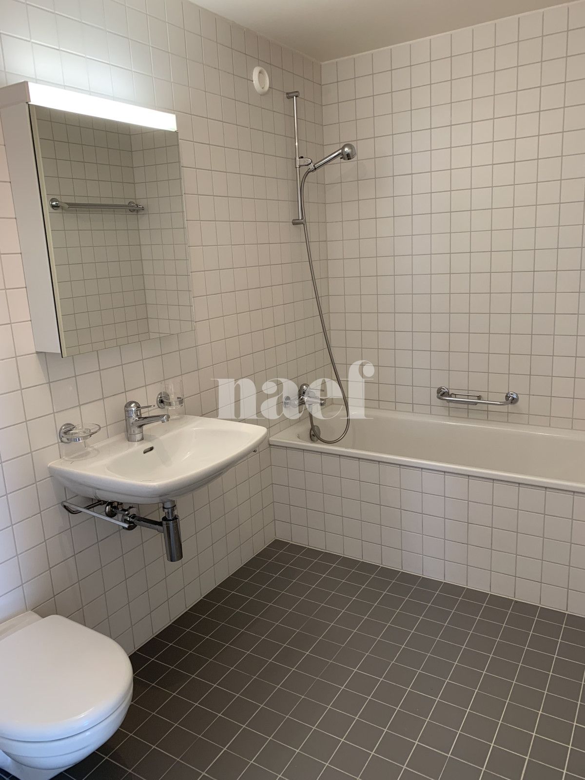 À louer : Appartement 4.5 Pieces Nyon - Ref : 205686.4042 | Naef Immobilier