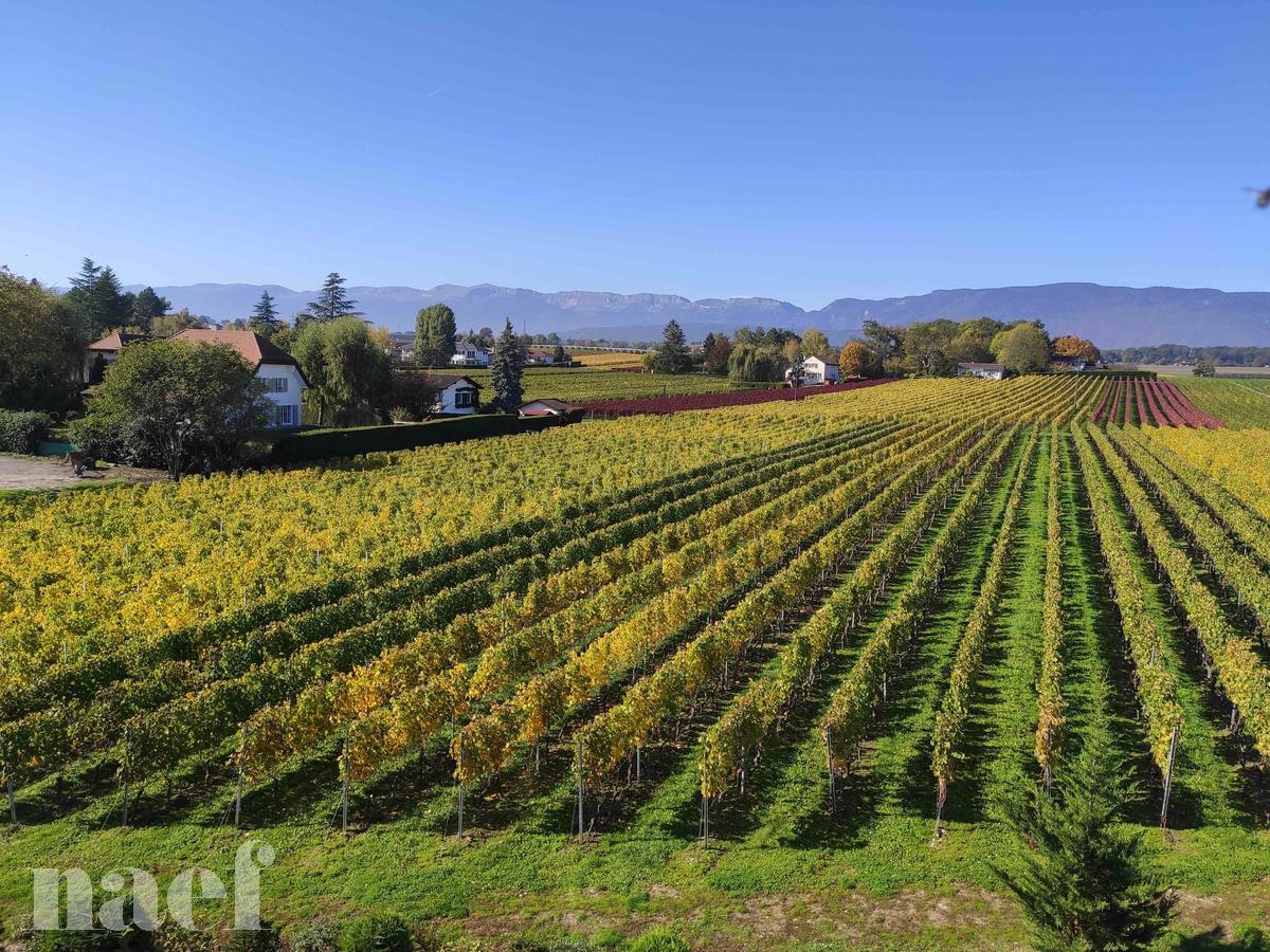 À louer : Appartement 3 Pieces Founex - Ref : 205719.3007 | Naef Immobilier