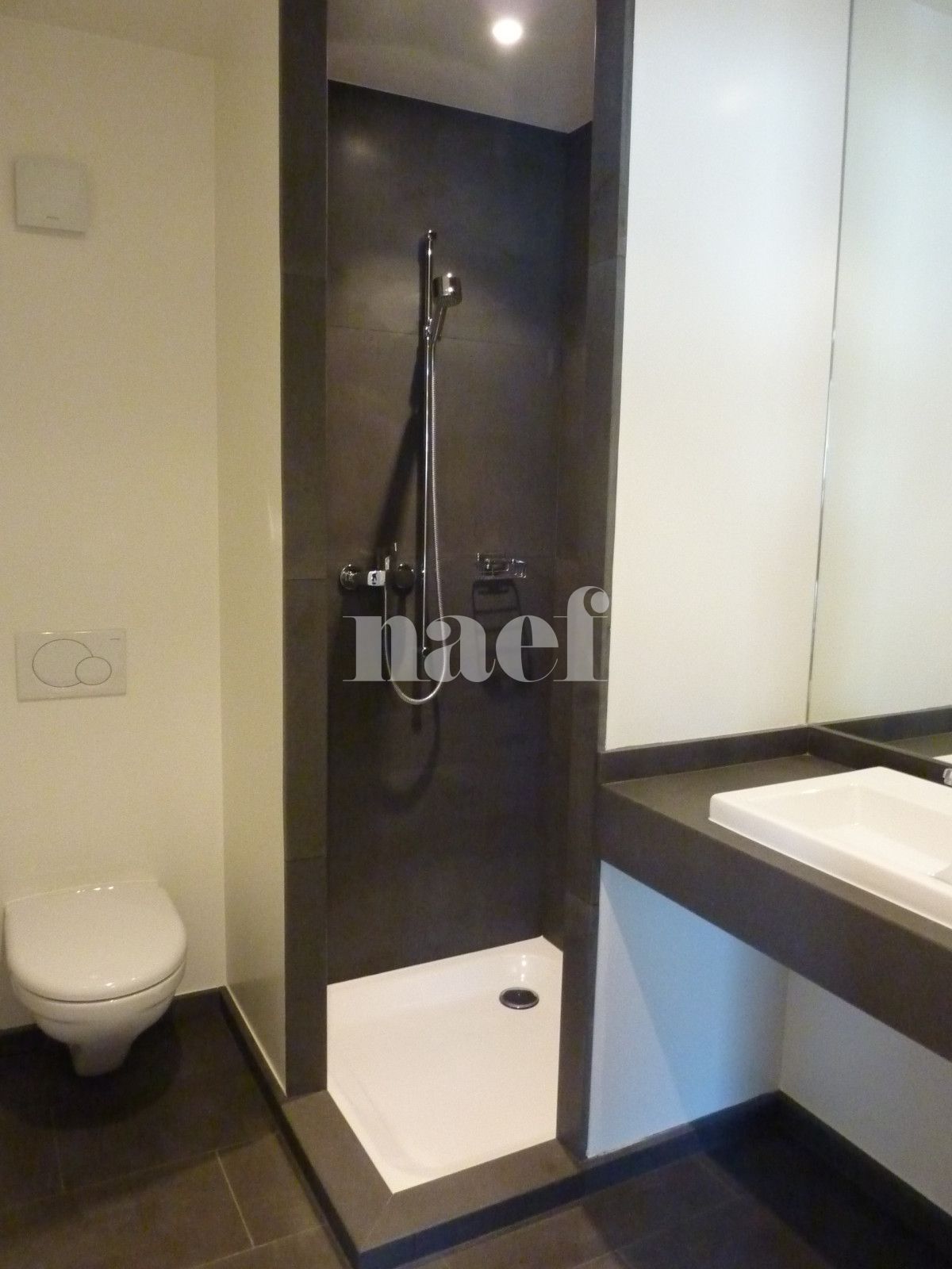 À louer : Appartement 2.5 Pieces Chéserex - Ref : 205756.1 | Naef Immobilier