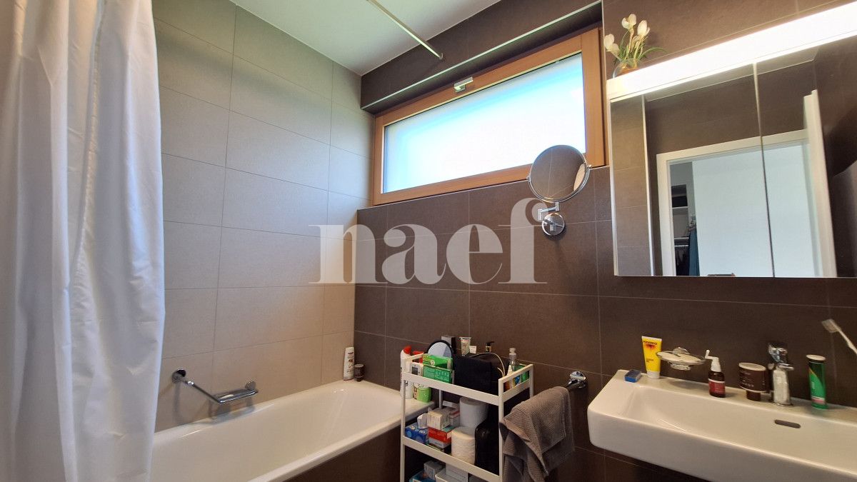 À louer : Appartement 2.5 Pieces Mies - Ref : 205782.1005 | Naef Immobilier